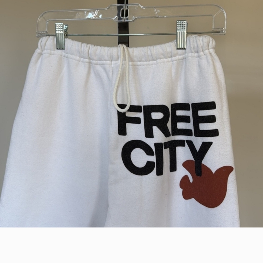 Free City sweatpants size small